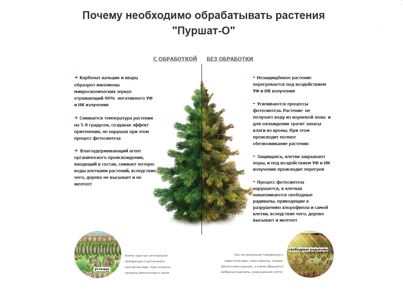 Пуршат для обработки сада2